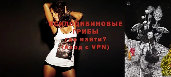 СК Корсаков