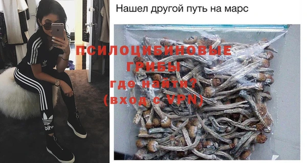 СК Корсаков