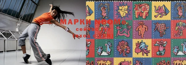 амф Коряжма