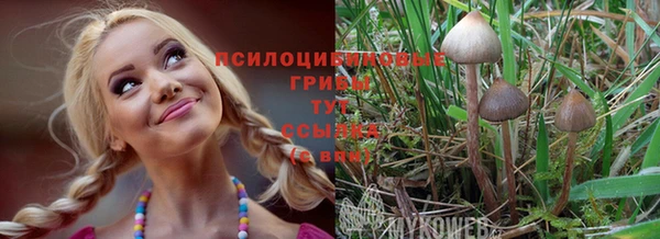СК Корсаков