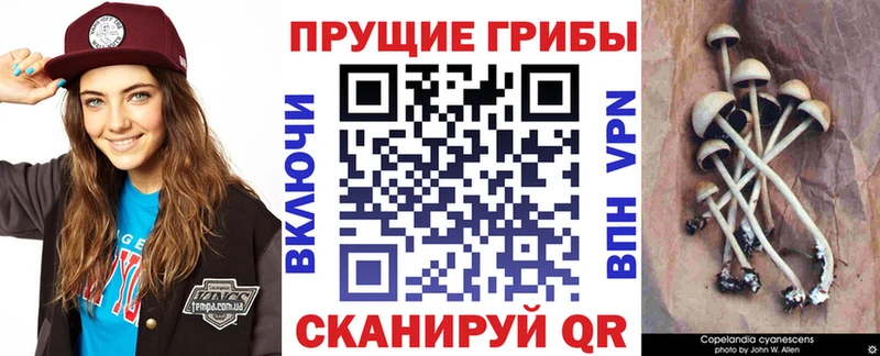 Галлюциногенные грибы прущие грибы Купить Любань